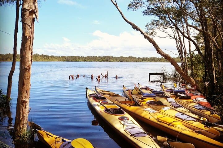 Noosa Everglades Full-Day Guided Kayak Tour — River of Mirrors Adventure photo 5