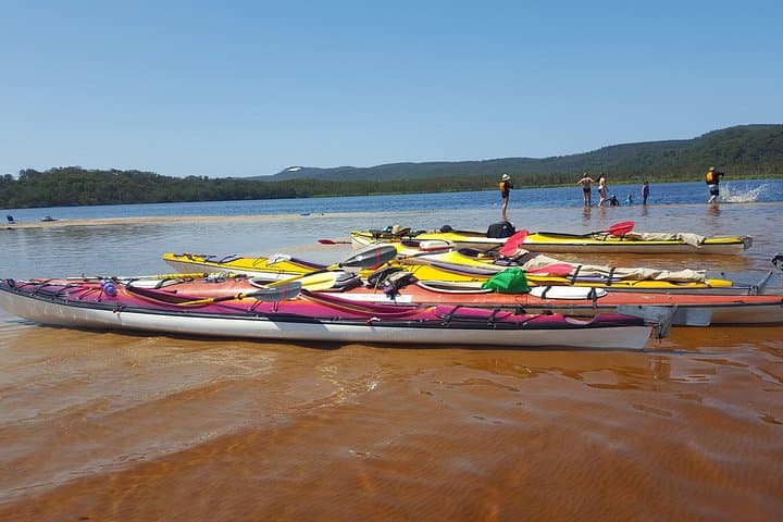 Self-Guided Noosa Everglades Kayak Tour: Lake Cootharaba to Harry's Hut photo 4