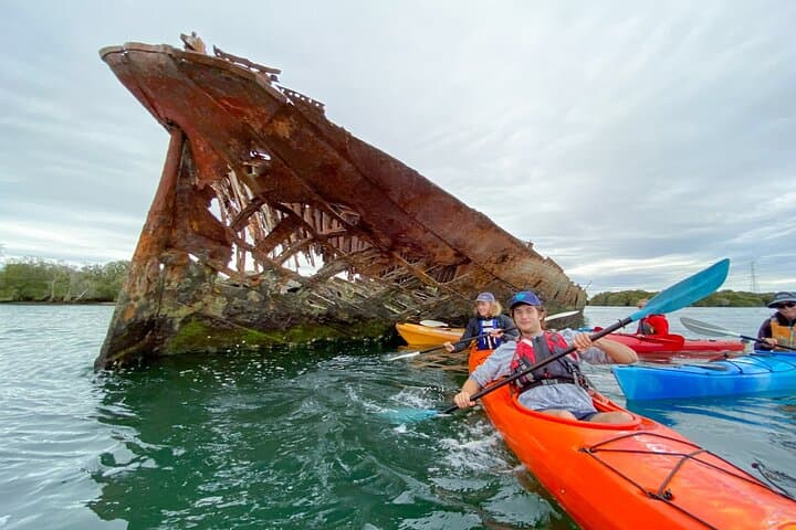 Port River Dolphin Kayak Tour: Ships Graveyard & Mangrove Creeks (Adelaide) photo 6