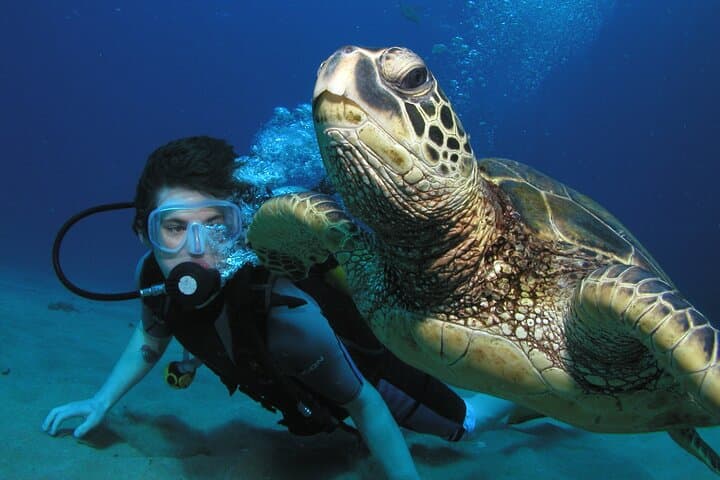Maui Introductory Scuba Dive — First-Time Lessons with Expert Instructors photo 3