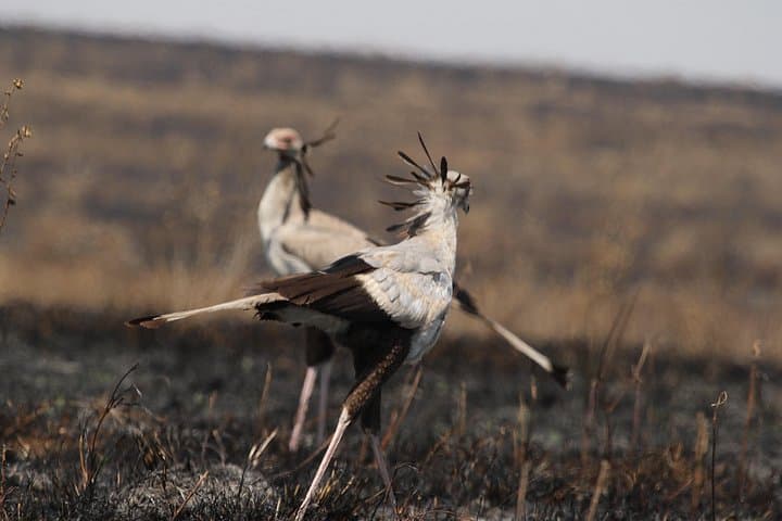 3-Day Tarangire, Ngorongoro & Lake Manyara Camping Safari photo 5