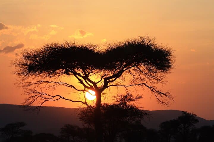 5-Day Private Camping Safari in Tanzania: Tarangire, Serengeti & Ngorongoro photo 6
