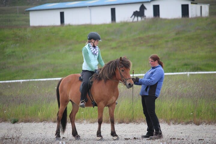 Private Icelandic Horse Lesson Near Akureyri: Learn the Tölt photo 2