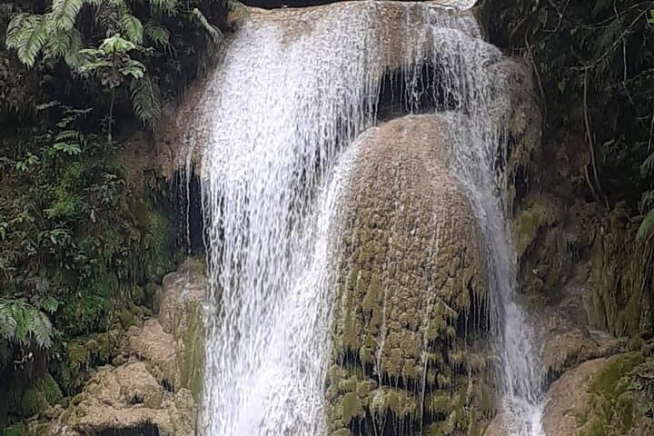Half-Day El Limón Waterfall Horseback Tour with Lunch in Samaná photo 4
