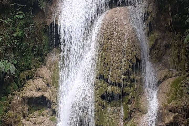 Horseback to El Limón Waterfall with Lunch from Las Terrenas photo 4