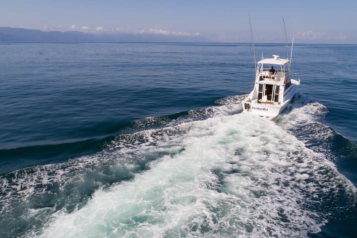 Private Hatteras Yacht Charter in Puerto Vallarta — Fishing, Snorkeling & Whale Watching photo 5