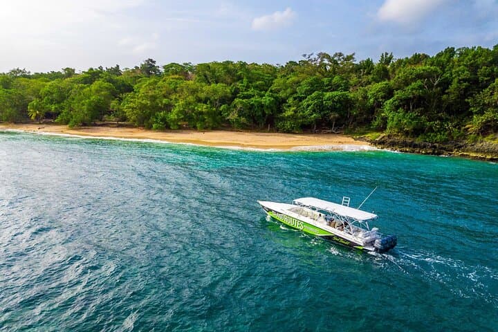 Powerboat and Dunn’s River Falls: Ocho Rios Full-Day Adventure photo 4