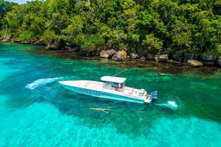 Powerboat and Dunn’s River Falls: Ocho Rios Full-Day Adventure photo 6
