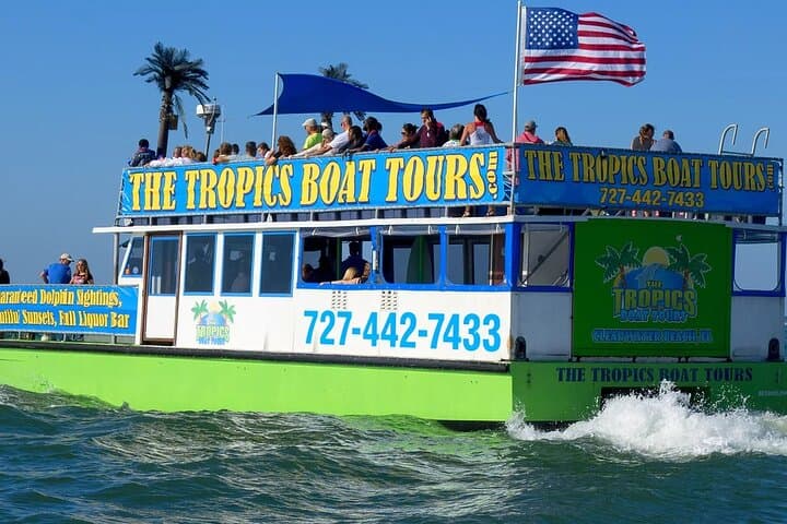 Guaranteed Dolphin Watching Cruise in Clearwater photo 4