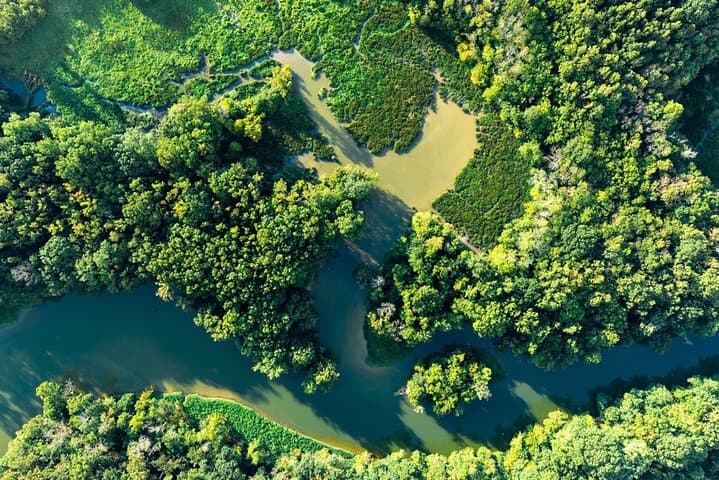 Cairns Helicopter Flight: 30-Minute Rainforest Scenic Tour Over Barron Gorge & Kuranda photo 5