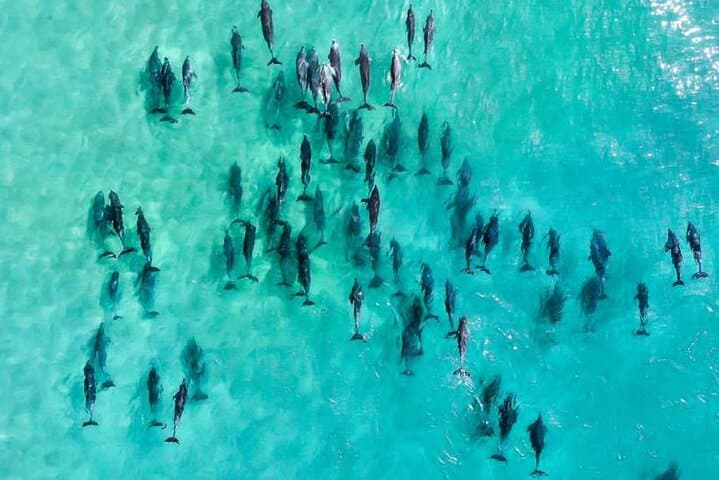 Inner Reef Explorer: 30-Minute Scenic Helicopter Flight Over the Great Barrier Reef photo 2