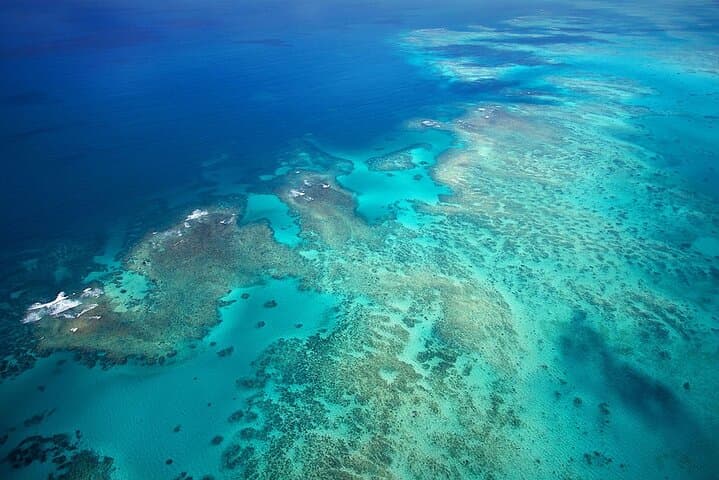 Outer Reef Odyssey: 40-Minute Great Barrier Reef Scenic Helicopter Flight from Cairns photo 4