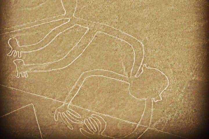 Private Tour: Nazca Lines Overflight, Huacachina Sandboarding & Pisco Tasting photo 5