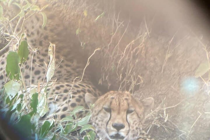 4-Day Private Migration Camping Safari in Serengeti — Kogatende Mara River Crossing photo 5