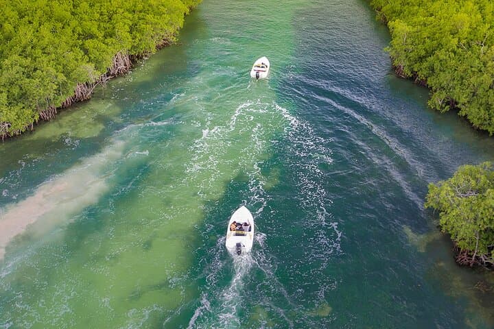 Speedboat & Snorkel: Nichupté Lagoon to Punta Nizuc Reef photo 4