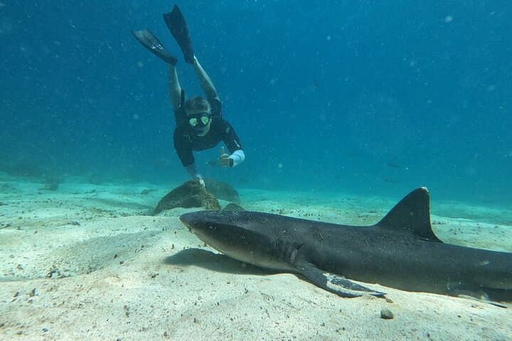 Santa Fe Island & Hidden Beach: Galápagos Day Tour with Snorkeling and Fishing photo 3