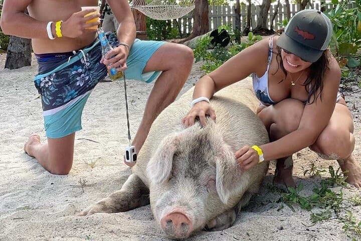 Nassau Private Boat Tour: Snorkel Reefs, Swim with Turtles & Pigs