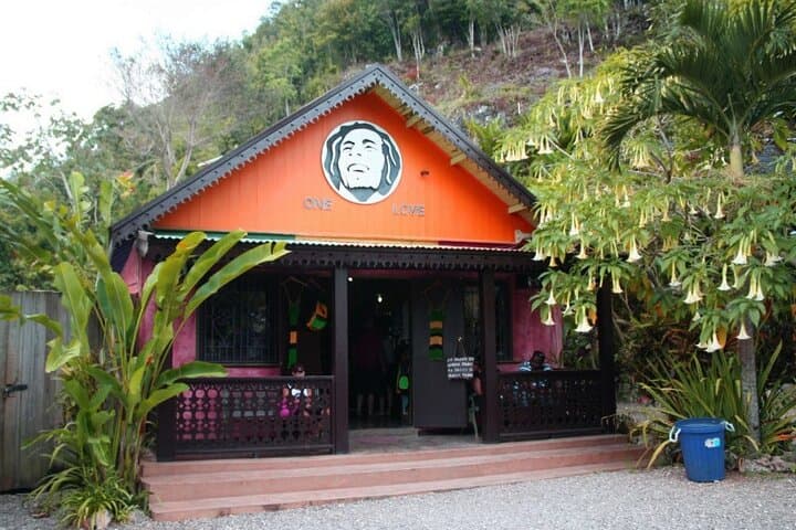 Private Bob Marley & Dunn’s River Falls Day Trip from Montego Bay photo 2