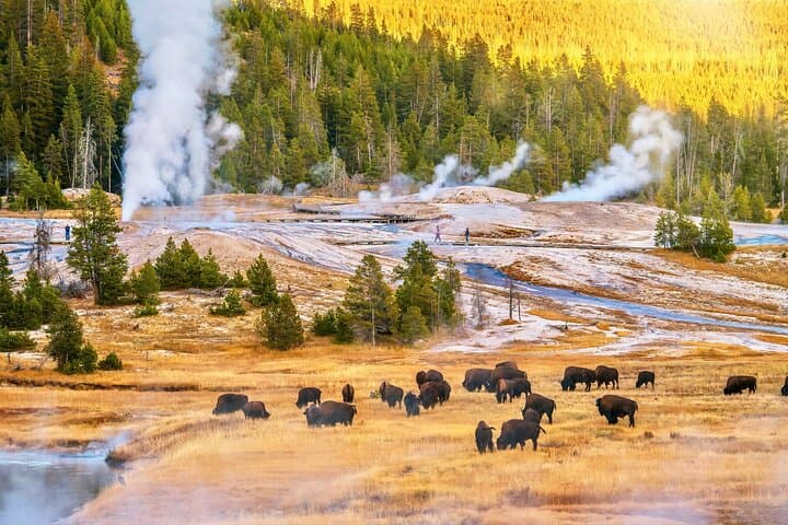 Private 2-Day Yellowstone and Grand Teton Tour — Upper & Lower Loop Highlights photo 6