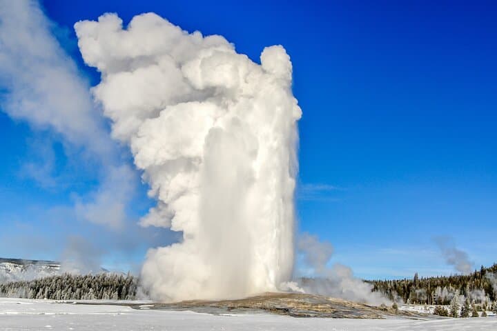Private 2-Day Yellowstone and Grand Teton Tour — Upper & Lower Loop Highlights photo 3