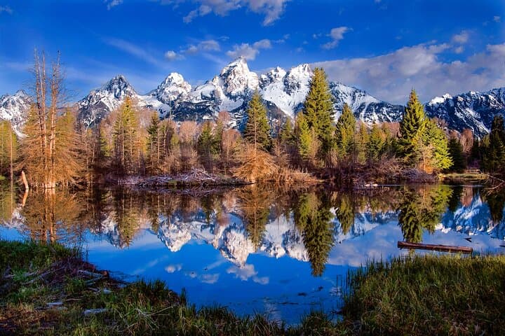 Private 2-Day Yellowstone and Grand Teton Tour — Upper & Lower Loop Highlights photo 4