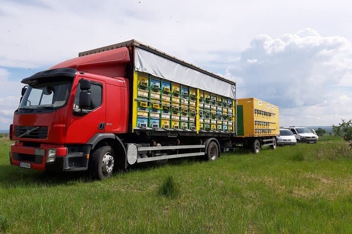 Private Beekeeping Day Trip from Bucharest — Apiary Tour & Honey Tasting
