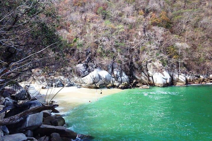 Private Snorkeling Adventure to Los Arcos & Colomitos Beach — Puerto Vallarta Marine Park photo 5