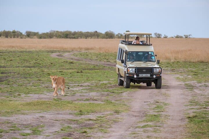 5-Day Private Safari & Maasai Village Visit: Lake Manyara, Tarangire, Serengeti, Ngorongoro photo 2