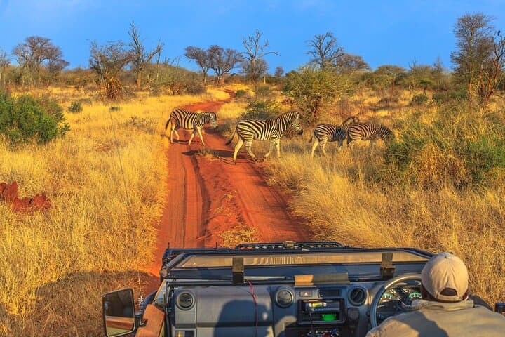 5-Day Private Safari & Maasai Village Visit: Lake Manyara, Tarangire, Serengeti, Ngorongoro photo 3