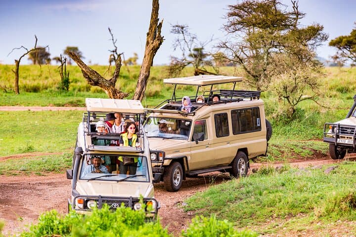 5-Day Private Safari & Maasai Village Visit: Lake Manyara, Tarangire, Serengeti, Ngorongoro