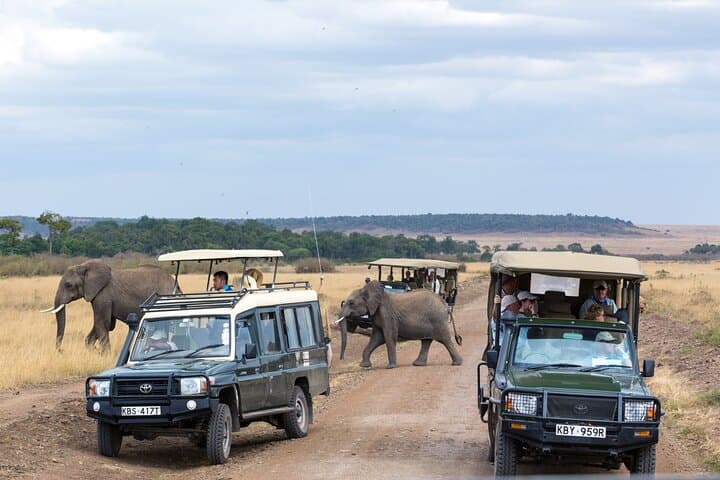 5-Day Private Safari & Maasai Village Visit: Lake Manyara, Tarangire, Serengeti, Ngorongoro photo 4
