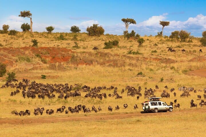 5-Day Private Safari & Maasai Village Visit: Lake Manyara, Tarangire, Serengeti, Ngorongoro photo 5