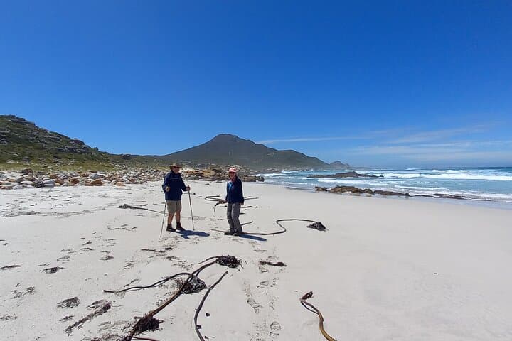 Cape of Good Hope Hike: Cape Point & Boulders Beach Penguins — Private Full-Day