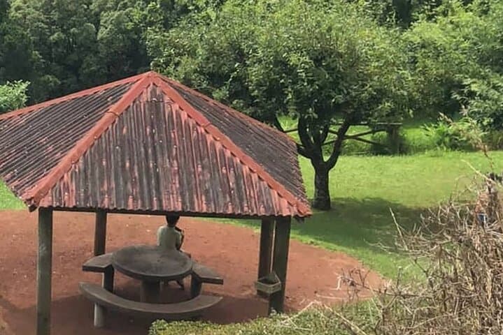 Furnas and Nordeste Full-Day Tour: Cozido, Hot Springs & Waterfall Views photo 1