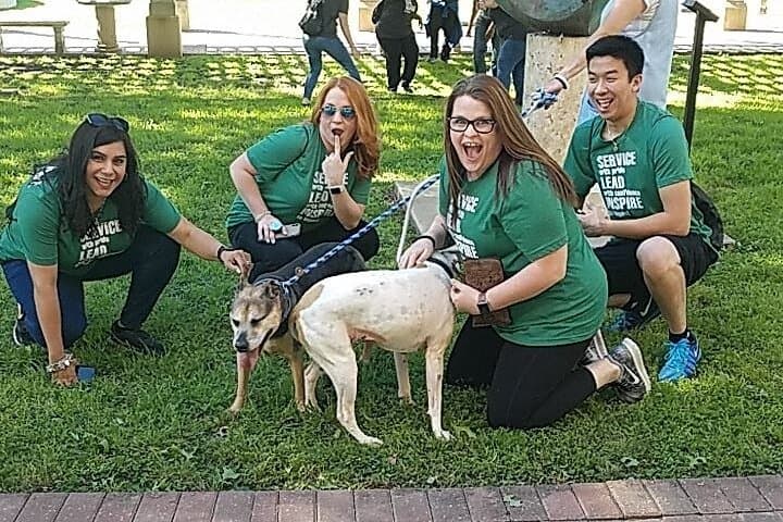 Survive the City: Des Moines Zombie Scavenger Hunt Adventure photo 4