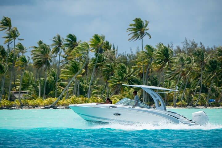Private Bora Bora Lagoon Snorkel Tour — Half-Day Reef Discovery