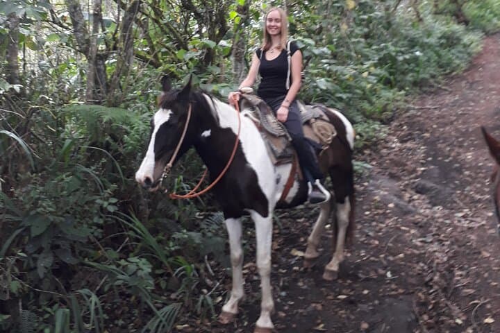 Horseback Ride to Tungurahua: 3-Hour Small-Group Experience from Baños photo 6