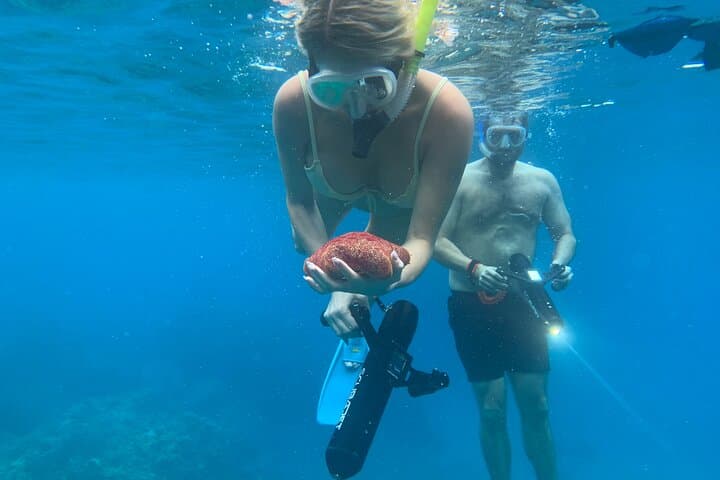 E-Scooter Snorkel at Turtle Town Maui — Sea Turtle Snorkeling with Photo & Video photo 3