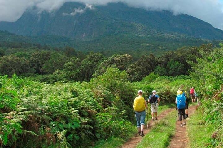 4-Day Mount Meru Private Trekking Tour — Arusha National Park Summit Trek photo 5