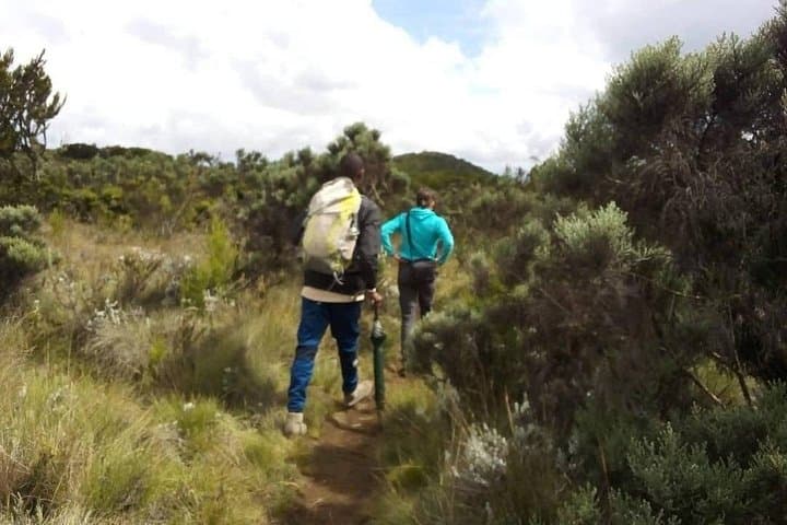 Day Hike to Mount Kilimanjaro — Mandara Hut, Chagga Culture & Local Experience photo 1
