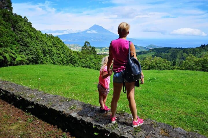 Half-Day Faial Island Tour: Capelinhos Volcano & Caldeira Highlights