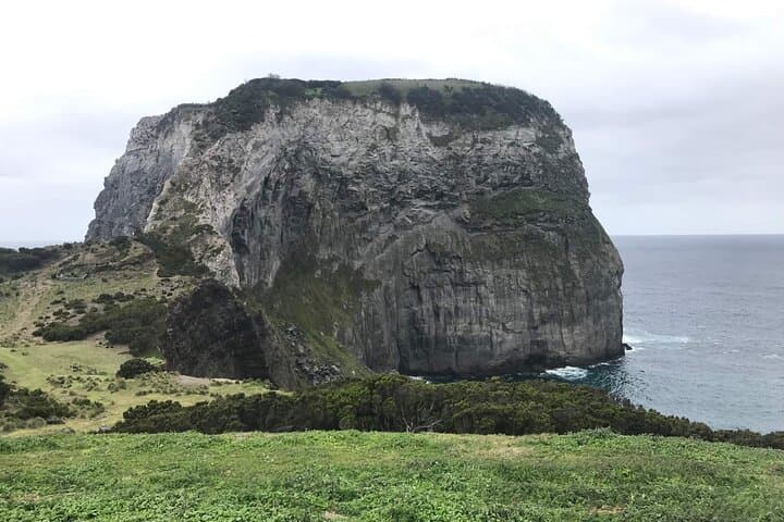 Half-Day Faial Island Tour: Capelinhos Volcano & Caldeira Highlights photo 2