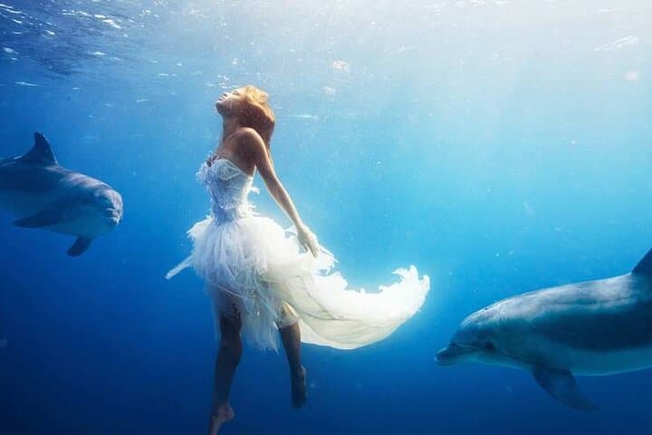 Marsa Alam Snorkeling & Dolphin Swim at Dolphin House (Day Trip) photo 3
