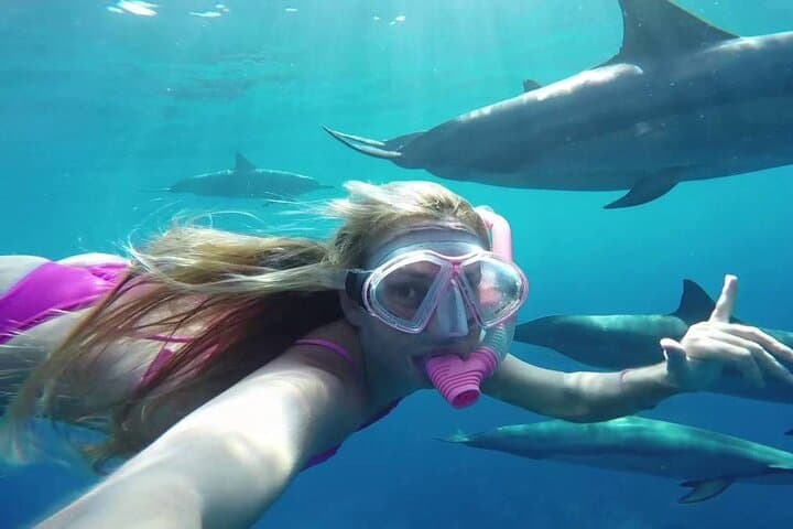 Marsa Alam Snorkeling & Dolphin Swim at Dolphin House (Day Trip) photo 2