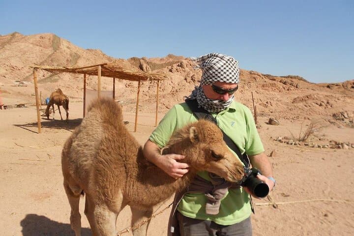 Dahab Full-Day Snorkel and Camel Ride from Taba — Three Pools Adventure with Lunch photo 4