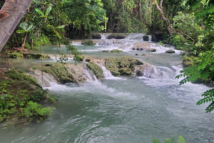 Ocho Rios Day Trip: Blue Hole or Dunn's River Falls from Montego Bay photo 5