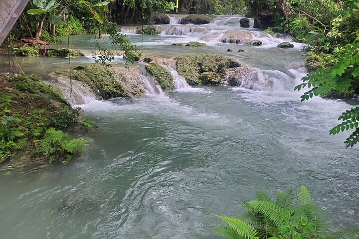 Ocho Rios Day Trip: Blue Hole or Dunn's River Falls from Montego Bay photo 6
