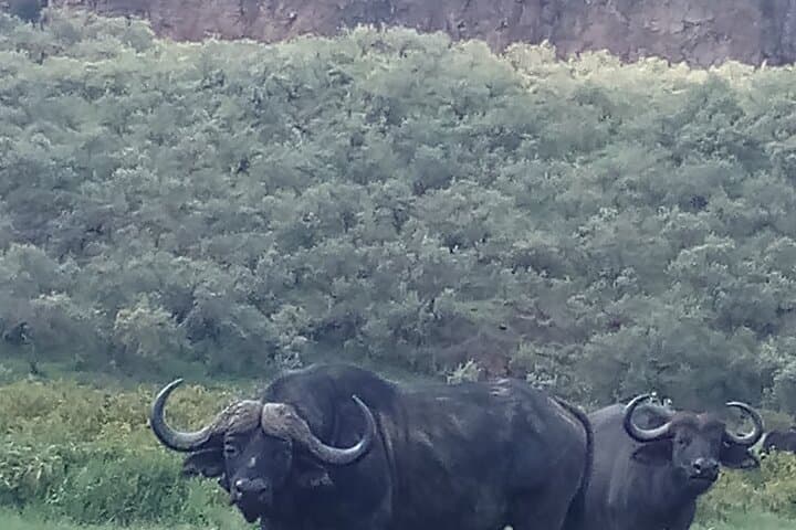 3-Day Sirimon Route Trek to Mount Kenya’s Point Lenana photo 4