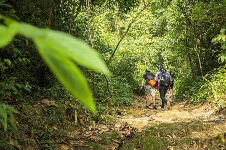 Phuket Jungle Trekking at Khao Phra Taew National Park — Half & Full Day Rainforest Hike