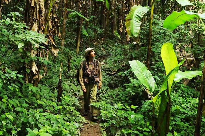 Phuket Jungle Trekking at Khao Phra Taew National Park — Half & Full Day Rainforest Hike photo 2